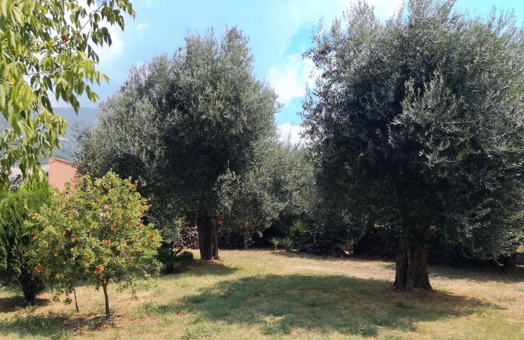 Villa Valia Seaside Ypsos Extérieur photo